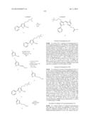 NOVEL OPTICAL LABELING MOLECULES FOR PROTEOMICS AND OTHER BIOLOGICAL     ANALYSIS diagram and image