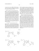 NOVEL OPTICAL LABELING MOLECULES FOR PROTEOMICS AND OTHER BIOLOGICAL     ANALYSIS diagram and image