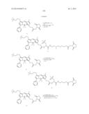 NOVEL OPTICAL LABELING MOLECULES FOR PROTEOMICS AND OTHER BIOLOGICAL     ANALYSIS diagram and image