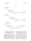 NOVEL OPTICAL LABELING MOLECULES FOR PROTEOMICS AND OTHER BIOLOGICAL     ANALYSIS diagram and image