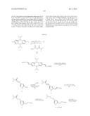 NOVEL OPTICAL LABELING MOLECULES FOR PROTEOMICS AND OTHER BIOLOGICAL     ANALYSIS diagram and image