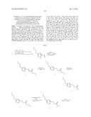 NOVEL OPTICAL LABELING MOLECULES FOR PROTEOMICS AND OTHER BIOLOGICAL     ANALYSIS diagram and image