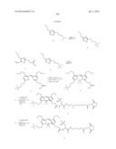 NOVEL OPTICAL LABELING MOLECULES FOR PROTEOMICS AND OTHER BIOLOGICAL     ANALYSIS diagram and image