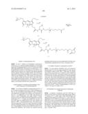 NOVEL OPTICAL LABELING MOLECULES FOR PROTEOMICS AND OTHER BIOLOGICAL     ANALYSIS diagram and image