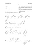 NOVEL OPTICAL LABELING MOLECULES FOR PROTEOMICS AND OTHER BIOLOGICAL     ANALYSIS diagram and image