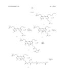 NOVEL OPTICAL LABELING MOLECULES FOR PROTEOMICS AND OTHER BIOLOGICAL     ANALYSIS diagram and image