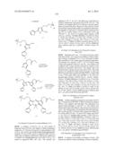 NOVEL OPTICAL LABELING MOLECULES FOR PROTEOMICS AND OTHER BIOLOGICAL     ANALYSIS diagram and image