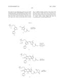 NOVEL OPTICAL LABELING MOLECULES FOR PROTEOMICS AND OTHER BIOLOGICAL     ANALYSIS diagram and image