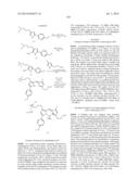 NOVEL OPTICAL LABELING MOLECULES FOR PROTEOMICS AND OTHER BIOLOGICAL     ANALYSIS diagram and image