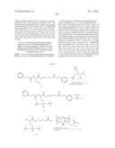 NOVEL OPTICAL LABELING MOLECULES FOR PROTEOMICS AND OTHER BIOLOGICAL     ANALYSIS diagram and image