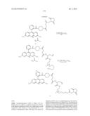 NOVEL OPTICAL LABELING MOLECULES FOR PROTEOMICS AND OTHER BIOLOGICAL     ANALYSIS diagram and image