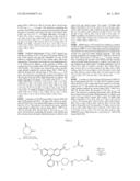 NOVEL OPTICAL LABELING MOLECULES FOR PROTEOMICS AND OTHER BIOLOGICAL     ANALYSIS diagram and image