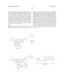 NOVEL OPTICAL LABELING MOLECULES FOR PROTEOMICS AND OTHER BIOLOGICAL     ANALYSIS diagram and image