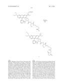 NOVEL OPTICAL LABELING MOLECULES FOR PROTEOMICS AND OTHER BIOLOGICAL     ANALYSIS diagram and image