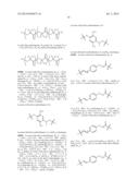NOVEL OPTICAL LABELING MOLECULES FOR PROTEOMICS AND OTHER BIOLOGICAL     ANALYSIS diagram and image