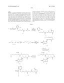 NOVEL OPTICAL LABELING MOLECULES FOR PROTEOMICS AND OTHER BIOLOGICAL     ANALYSIS diagram and image