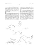 NOVEL OPTICAL LABELING MOLECULES FOR PROTEOMICS AND OTHER BIOLOGICAL     ANALYSIS diagram and image