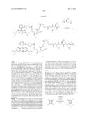 NOVEL OPTICAL LABELING MOLECULES FOR PROTEOMICS AND OTHER BIOLOGICAL     ANALYSIS diagram and image