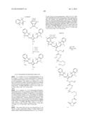 NOVEL OPTICAL LABELING MOLECULES FOR PROTEOMICS AND OTHER BIOLOGICAL     ANALYSIS diagram and image