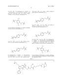 NOVEL OPTICAL LABELING MOLECULES FOR PROTEOMICS AND OTHER BIOLOGICAL     ANALYSIS diagram and image