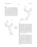 NOVEL OPTICAL LABELING MOLECULES FOR PROTEOMICS AND OTHER BIOLOGICAL     ANALYSIS diagram and image