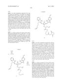 NOVEL OPTICAL LABELING MOLECULES FOR PROTEOMICS AND OTHER BIOLOGICAL     ANALYSIS diagram and image