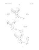 NOVEL OPTICAL LABELING MOLECULES FOR PROTEOMICS AND OTHER BIOLOGICAL     ANALYSIS diagram and image