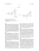 NOVEL OPTICAL LABELING MOLECULES FOR PROTEOMICS AND OTHER BIOLOGICAL     ANALYSIS diagram and image