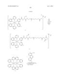 NOVEL OPTICAL LABELING MOLECULES FOR PROTEOMICS AND OTHER BIOLOGICAL     ANALYSIS diagram and image