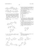 NOVEL OPTICAL LABELING MOLECULES FOR PROTEOMICS AND OTHER BIOLOGICAL     ANALYSIS diagram and image