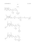 NOVEL OPTICAL LABELING MOLECULES FOR PROTEOMICS AND OTHER BIOLOGICAL     ANALYSIS diagram and image