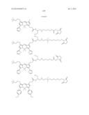 NOVEL OPTICAL LABELING MOLECULES FOR PROTEOMICS AND OTHER BIOLOGICAL     ANALYSIS diagram and image