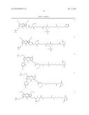 NOVEL OPTICAL LABELING MOLECULES FOR PROTEOMICS AND OTHER BIOLOGICAL     ANALYSIS diagram and image