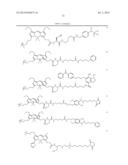 NOVEL OPTICAL LABELING MOLECULES FOR PROTEOMICS AND OTHER BIOLOGICAL     ANALYSIS diagram and image