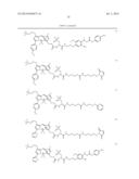 NOVEL OPTICAL LABELING MOLECULES FOR PROTEOMICS AND OTHER BIOLOGICAL     ANALYSIS diagram and image