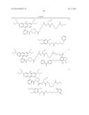 NOVEL OPTICAL LABELING MOLECULES FOR PROTEOMICS AND OTHER BIOLOGICAL     ANALYSIS diagram and image