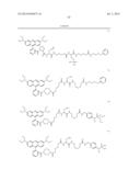 NOVEL OPTICAL LABELING MOLECULES FOR PROTEOMICS AND OTHER BIOLOGICAL     ANALYSIS diagram and image