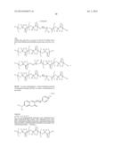 NOVEL OPTICAL LABELING MOLECULES FOR PROTEOMICS AND OTHER BIOLOGICAL     ANALYSIS diagram and image