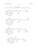 NOVEL OPTICAL LABELING MOLECULES FOR PROTEOMICS AND OTHER BIOLOGICAL     ANALYSIS diagram and image