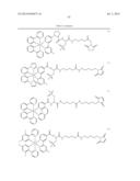 NOVEL OPTICAL LABELING MOLECULES FOR PROTEOMICS AND OTHER BIOLOGICAL     ANALYSIS diagram and image