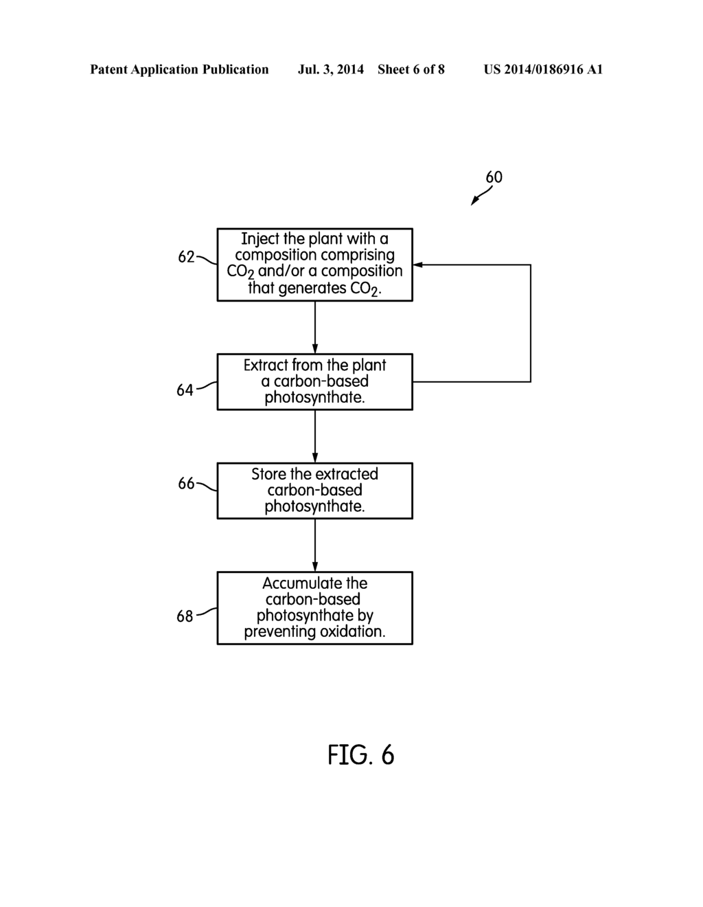 ARTICLES AND METHODS FOR ADMINISTERING CO2 INTO PLANTS - diagram, schematic, and image 07