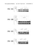 Compositions for Diagnosis and Therapy of Diseases Associated with     Aberrant Expression of Futrins (R-Spondins) and/or Wnt diagram and image