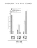 Compositions for Diagnosis and Therapy of Diseases Associated with     Aberrant Expression of Futrins (R-Spondins) and/or Wnt diagram and image