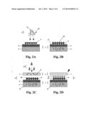 Rapid Diagnostic Device, Assay and Multifunctional Buffer diagram and image