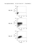 CELL CARRIER, ASSOCIATED METHODS FOR MAKING CELL CARRIER AND CULTURING     CELLS USING THE SAME diagram and image