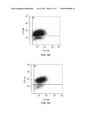 CELL CARRIER, ASSOCIATED METHODS FOR MAKING CELL CARRIER AND CULTURING     CELLS USING THE SAME diagram and image