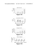 Optimized Methods for Differentiation of Cells Into Cells with Hepatocyte     and Hepatocyte Progenitor Phenotypes, Cells Produced by the Methods, and     Methods for Using the Cells diagram and image