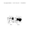 SINGLE PHOTON SPECTROMETER diagram and image