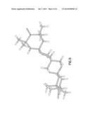 DINITROXIDE-TYPE BIRADICAL COMPOUNDS OPTIMIZED FOR DYNAMIC NUCLEAR     POLARIZATION (DNP) diagram and image