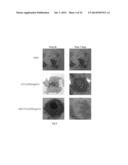 NANOCOMPOSITE MATERIALS BASED ON METAL OXIDES HAVING MULTI-FUNCTIONAL     PROPERTIES diagram and image